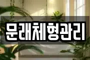문래체형관리
