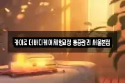 카이로 더바디케어 체형교정 통증관리 서울본점
