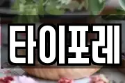 타이포레