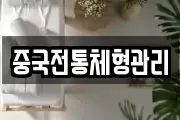 중국전통체형관리