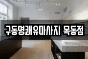 서울특별시 영등포구 양평동1가 마사지, 지압등 업체정보
