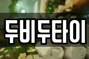 두비두타이