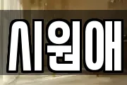 시원애