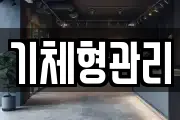 기체형관리