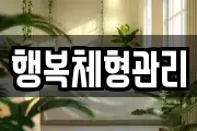 행복체형관리