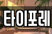 타이포레