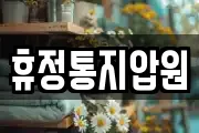 휴정통지압원