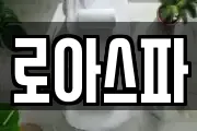 로아스파