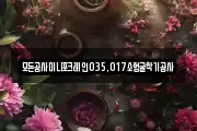 모든공사미니포크레인035,017소형굴착기공사