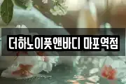 더하노이풋앤바디 마포역점
