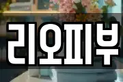 리오피부