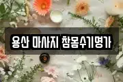서울특별시 용산구 문배동 마사지, 지압등 업체정보