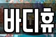 바디휴