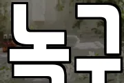 녹구