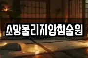 소망물리지압침술원