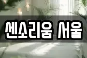 센소리움 서울