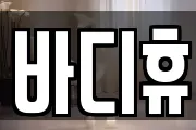 바디휴