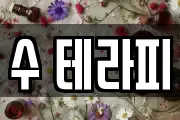 수 테라피