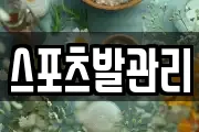 스포츠발관리