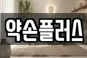 약손플러스