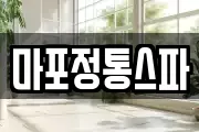 마포정통스파