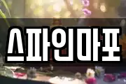 스파인마포