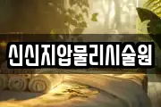 신신지압물리시술원