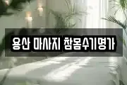 용산 마사지 참몸수기명가