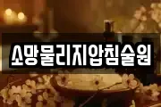 소망물리지압침술원