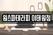 원스파테라피 이태원점