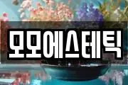 모모에스테틱