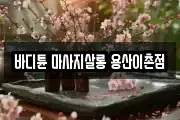 바디튠 마사지살롱 용산이촌점