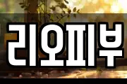 리오피부