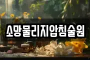 소망물리지압침술원