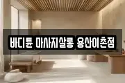 서울특별시 용산구 용산동6가 마사지, 지압등 업체정보