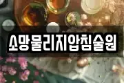 소망물리지압침술원