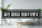 서울특별시 용산구 마사지, 지압등 업체정보