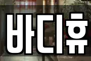 바디휴