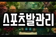 스포츠발관리