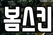 봄스킨