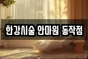 한강시술 안마원 동작점