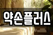 약손플러스