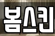 봄스킨