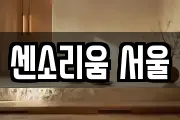 센소리움 서울