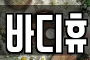 바디휴