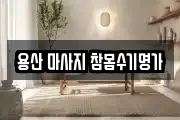 서울특별시 용산구 한강로1가 마사지, 지압등 업체정보