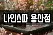 나인스파 용산점