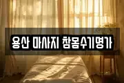 서울특별시 용산구 한강로2가 마사지, 지압등 업체정보