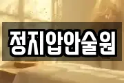 정지압안술원