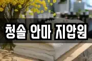 청솔 안마 지압원